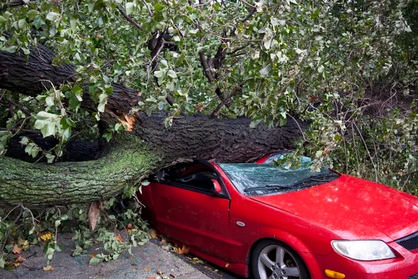 Unwetterschäden: Wann zahlt die Autoversicherung? (Foto: Getty Images/Johannes Kroemer)